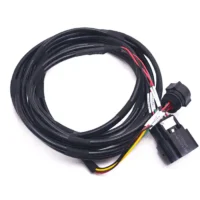 UL1569 Amphenol Plug Molex Connector Cable Assembly Wire Harness cho xe điện Đầu nối chống thấm nước Amphenol Plug